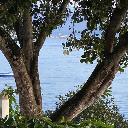 Pescador View - Beachfront & Nearby The Ocean Hostels & Restaurant Moalboal Exterior photo