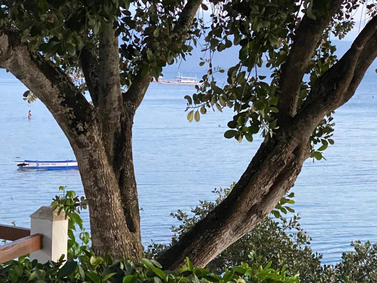 Pescador View - Beachfront & Nearby The Ocean Hostels & Restaurant Moalboal Exterior photo