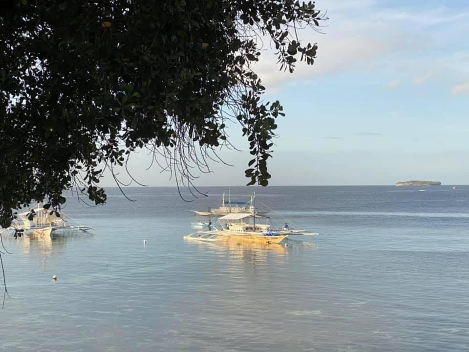 Pescador View - Beachfront & Nearby The Ocean Hostels & Restaurant Moalboal Exterior photo