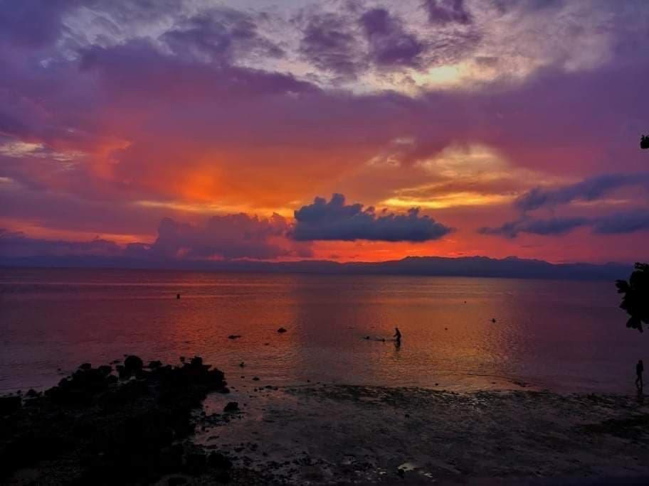 Pescador View - Beachfront & Nearby The Ocean Hostels & Restaurant Moalboal Exterior photo