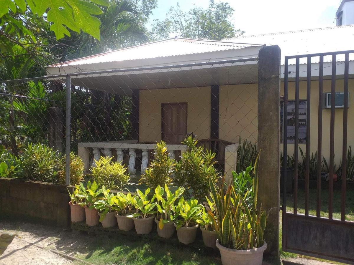 Pescador View - Beachfront & Nearby The Ocean Hostels & Restaurant Moalboal Exterior photo