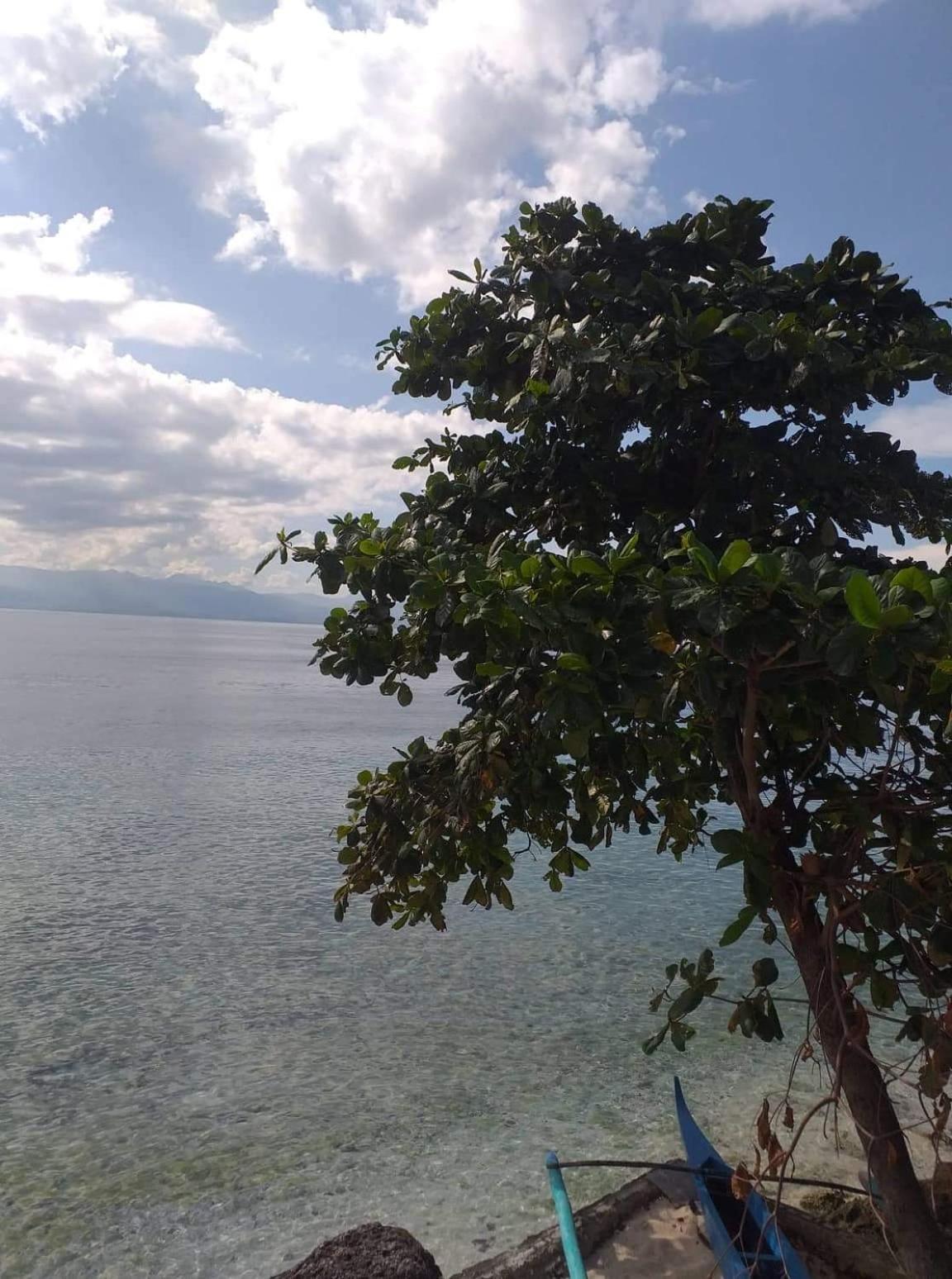 Pescador View - Beachfront & Nearby The Ocean Hostels & Restaurant Moalboal Room photo