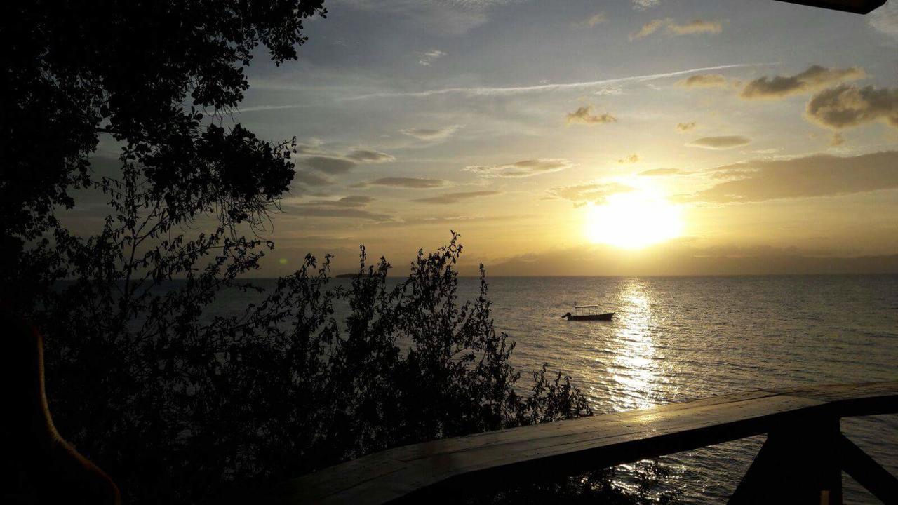 Pescador View - Beachfront & Nearby The Ocean Hostels & Restaurant Moalboal Exterior photo